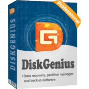DiskGenius Professional 5.4.2 Crack With Registration Key 2021 Free